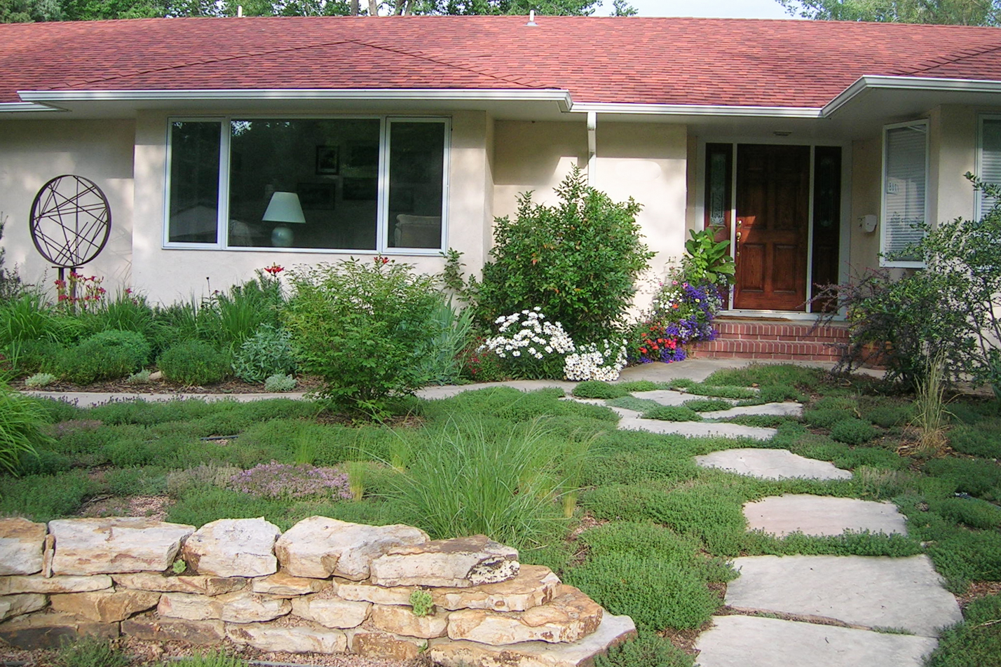 Groundcover Front Yard